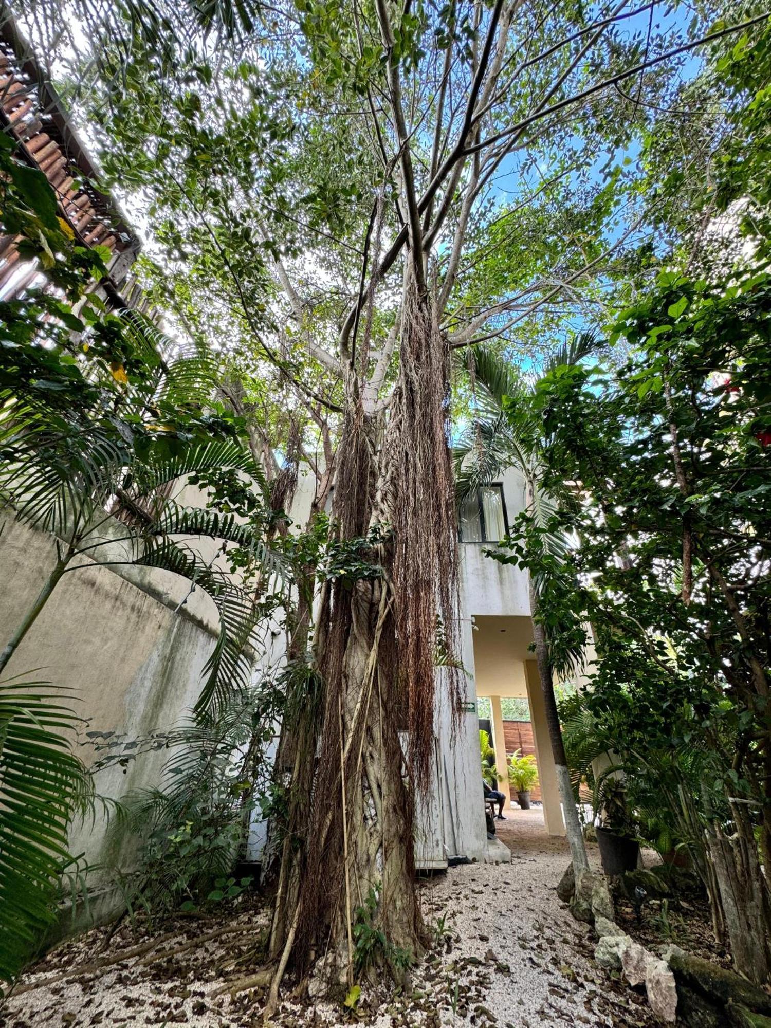 Starfit Hotel Boutique Beachclub, Spa & Gym Included Tulum Luaran gambar